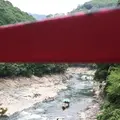 トロッコ嵯峨駅の写真_40243