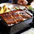 大はかやの写真_40349