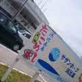 浜比嘉島の写真_40350