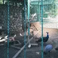 高崎公園の写真_40668