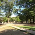高崎公園の写真_40670