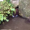 日向神ダム湖の写真_40726