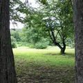 萱野高原の写真_40766