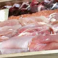 宮川食鳥鶏卵の写真_40846