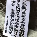 大谷石採石場跡・大谷資料館の写真_40871