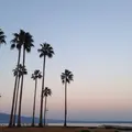 【閉業】別府海浜砂湯の写真_40983