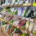 川の駅船小屋 恋ぼたるの写真_40989