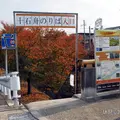京橋の写真_415124