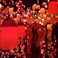 【閉業】森ビルデジタルアートミュージアム：エプソン チームラボボーダレス（MORI Building Digital Art Museum: EPSON teamLab Borderless）の写真_416564
