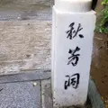 秋芳洞の写真_418462