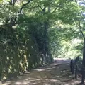 城山公園の写真_418491