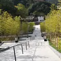 長門湯本温泉の写真_419133