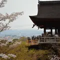 清水寺の写真_421329