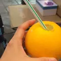 近江町市場の写真_42436