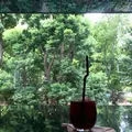 CONNEL COFFEE (コーネルコーヒー)の写真_42551