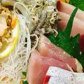 小田原さかなセンターの写真_42797