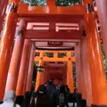伏見稲荷大社の写真_4283
