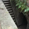 友ヶ島灯台の写真_43184