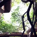 友ヶ島灯台の写真_43185