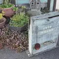 cafe moyauの写真_432237