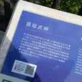 喜屋武岬の写真_432606