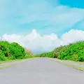残波岬の写真_433212
