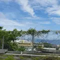 CLUB SHANGRILAの写真_433233