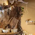 陶房CONELの写真_433525