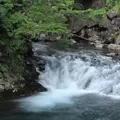 善五郎の滝の写真_43397