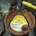 厳美渓の写真_4364
