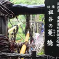 祖谷のかずら橋の写真_437183