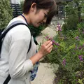 お富ちゃん広場の写真_43979
