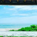 宇座海岸の写真_442581
