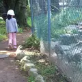 桐生が岡動物園の写真_44721