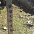 萩城跡指月公園の写真_44794