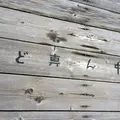 蓬莱橋の写真_44816