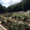 花博記念公園鶴見緑地の写真_44885