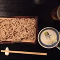 鎌倉 松原庵 欅の写真_45157