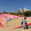大濠公園の写真_45797