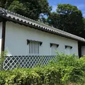 大濠公園の写真_45802