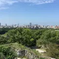 福岡城跡の写真_45804