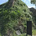 福岡城跡の写真_45808