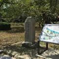 大濠公園の写真_45814