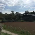 福岡城跡の写真_45817