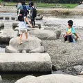 鴨川デルタの写真_45841