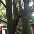 下鴨神社（賀茂御祖神社）の写真_45843