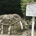下鴨神社（賀茂御祖神社）の写真_45956