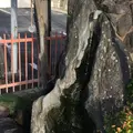 島原城の写真_46001