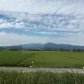 諫早駅の写真_46006