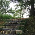 武田神社の写真_46051